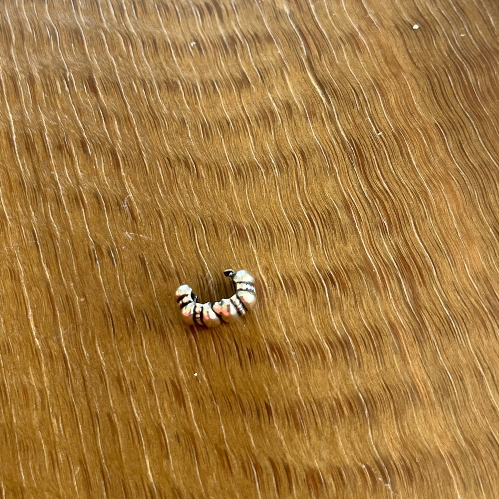 Pandora clip charm